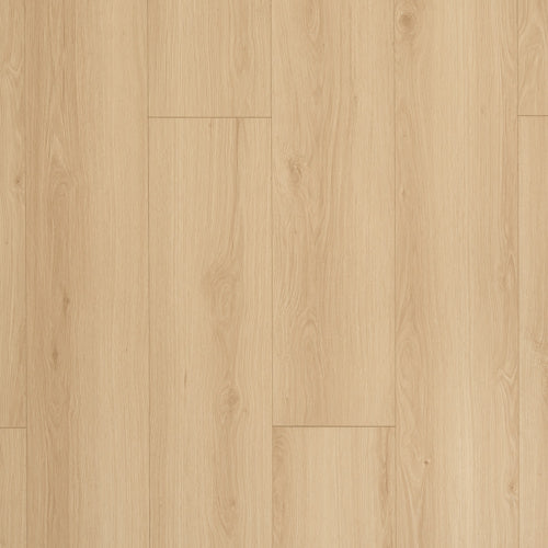 NOVEGO ECO+ SAVANNAH