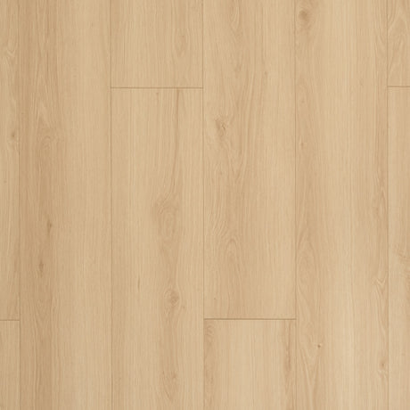 NOVEGO ECO+ SAVANNAH